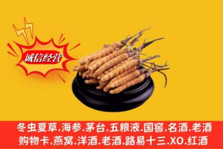 阿克苏柯坪县高价上门回收虫草多少钱每克